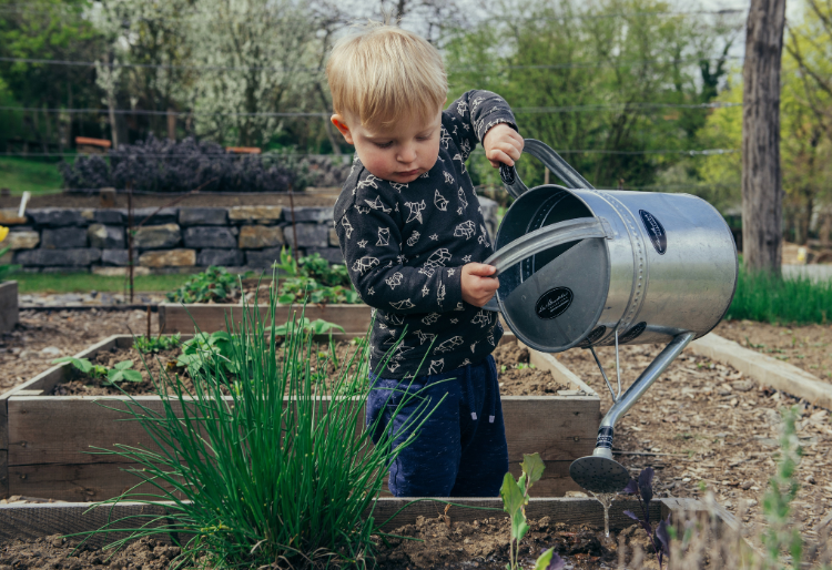 Boy watering a garden using a watering can